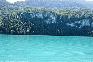 Brienzer See Berner Oberland Schweiz