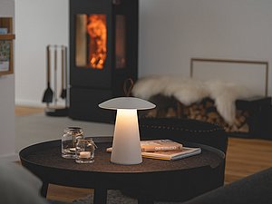 Harlepadd Ferienhaus Ostfriesland Deutschland