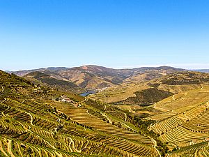 Kulinarische Reisetipps- Douro Tal Portugal