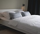 Harlepadd Ferienhaus Ostfriesland Deutschland